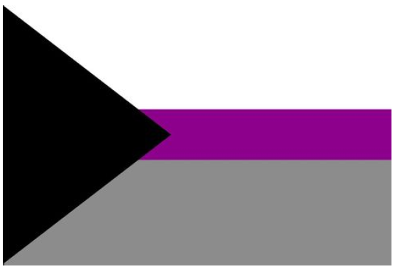 A black triangle sits on the left side of the demisexual pride flag. The flag is split in half horizontally by a purble bar, with the top as white and