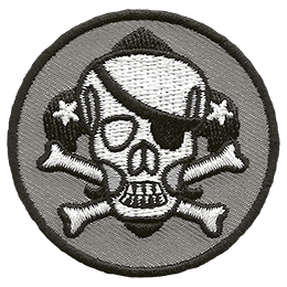 skull and cross bones on grey background with black border