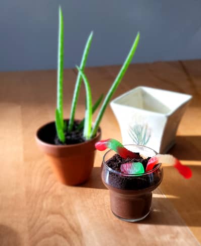 An avocado dirt cup with gummy worms dessert sits next to potted plants.