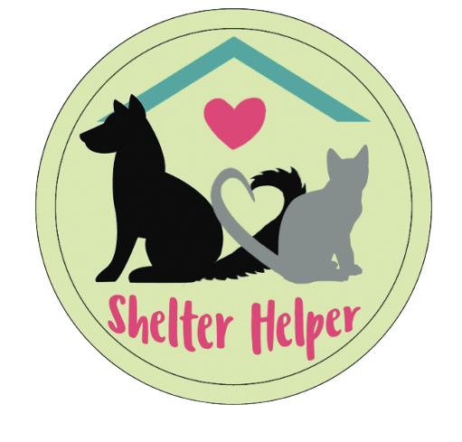 shelter helper design.png